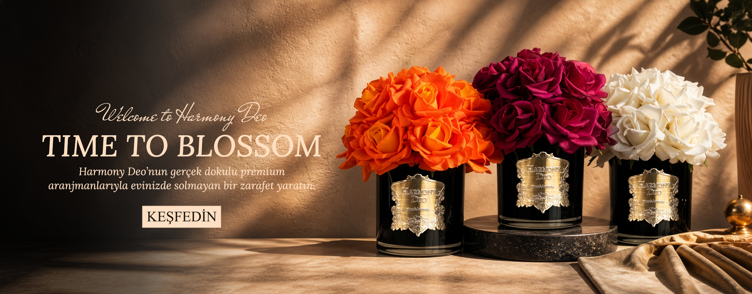 Packolay